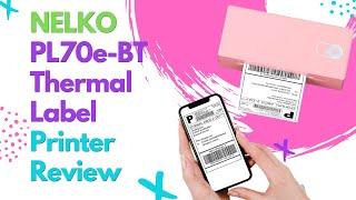 Reviewing the Nelko Pink Thermal Label Printer  PL70e-BT