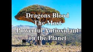 Dragons Blood The Highest Rated Antioxidant On The Planet