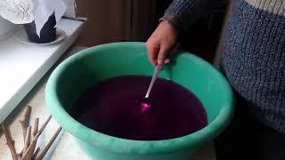 Обработка черенков винограда от болезней марганцовкой и замачивание их в воде