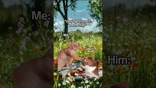 CAT MEMES On a picnic date with your boyfriend #catmemes #relatable #relationship #shorts