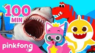 Best Pinkfong & Baby Shark Stories 2021  Dinosaur and more  Pinkfong Stories for Kids