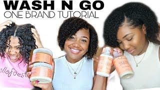 Wash N Go Tutorial  Short Natural Hair Routine  Shea Moisture Coconut Hibiscus