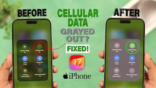 iOS 17 Fix Cellular Data Grayed Out on iPhone 15s