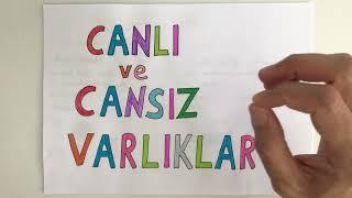 Canlı ve Cansız Varlıklar 3. Sınıf Fen Bilgisi Canlıların Ortak Özellikleri