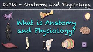 DITW - What is Anatomy and Physiology?