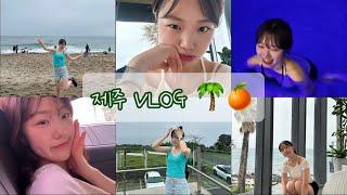 VLOG First VLOG in JEJU   제주맛집  숙성도  히든클리프  미영이네  무늬오징어회  선채향제주  일상브이로그  직장인브이로그