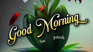 good Morninggood Morning wishes good Morning Videos Status.plsDo Subscribe @smilingthulasi3686