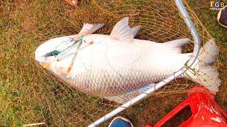 Amazing Fishing Video by Hunting The Big Monster Catla Fish Hook Video