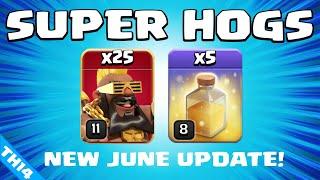 New TH14 SUPER HOG RIDER attack is INSANELY GOOD BEST TH14 Attack Strategy  Clash of Clans