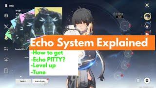 WuWa - ECHO System Simply Explained Echo PITTY  Echo SETS SONATA Effect Gear Them Properly