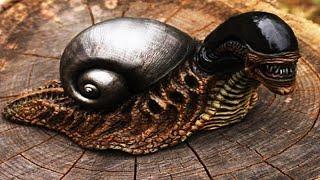 10 Weirdest Snails In The World