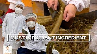 The Most Important Japanese Ingredient and How Its Made Kochi Prefecture