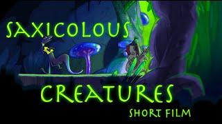 Saxicolous Creatures Animated Short Film