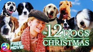 THE 12 DOGS OF CHRISTMAS  Full Family Dog Movie  Jordan-Claire Green Tom Kemp