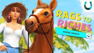 CAN COMPETITIONS DOUBLE OUR MONEY?   Sims 4 Horse Ranch Gameplay