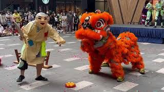 【2023 馬來西亞龙狮节大汇演】World Dragon & Lion Dance Extravaganza Msia Huati Lion Dance 新街場華體 大头佛与舞狮表演 #6