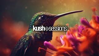 #245 KushSessions Liquid Drum & Bass Mix