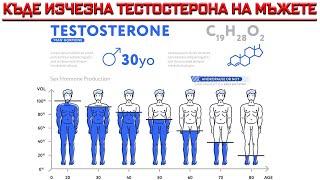 КЪДЕ ИЗЧЕЗНА ТЕСТОСТЕРОНА НА СЪВРЕМЕННИЯ МЪЖ?