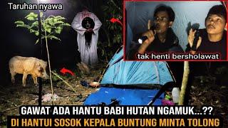 CAMPING HOROR NYAWA TARUHAN DIHUTAN HAMPIR MATI SIA-SIA DITEROR BABI DAN HANTU BERDARAH