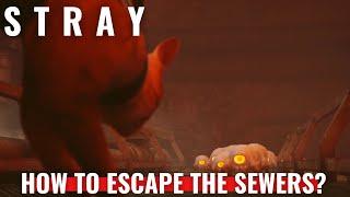 Stray - How to escape The Sewers? final chase