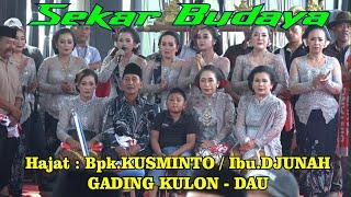 TAYUB SEKAR BUDAYA HAJAT  BPK.KUSMINTO _ GADING KULON - DAU