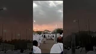 HAJJ 2023  MINA ARAFAT  MAKKAH MADINA #shorts #makkah #arafat