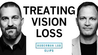 Cause of Vision Loss & Treating Vision Loss  Dr. Jeff Goldberg & Dr. Andrew Huberman