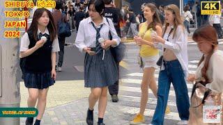 4k hdr japan travel 2024  Walk in Shibuya 渋谷 Tokyo Japan   Relaxing Natural City ambience