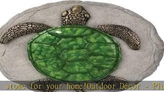 Spoontiques -Garden Décor - Turtle Stepping Stone - Decorative Stone for Garden