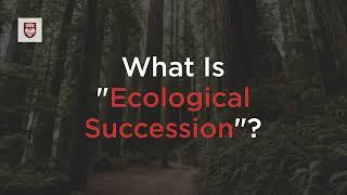 What is Ecological Succession? University of Chicago Explainer Series