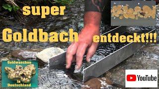 Goldwaschen in Deutschland  127  Super Goldbach entdeckt 