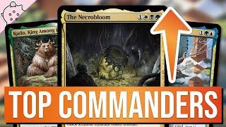 The Top Commanders Right Now  Most Popular Modern Horizons 3  MTG