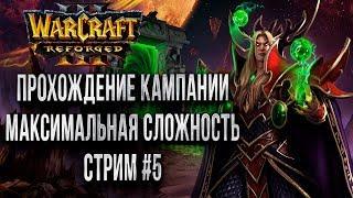 ПРОХОЖДЕНИЕ КАМПАНИИ ПРОКЛЯТИЕ ЭЛЬФОВ КРОВИ Warcraft 3 Reforged