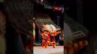 Pertunjukan Seni Reog Ponorogo Hebat #shorts #viral #reogponorogo #barongan #pertunjukkan