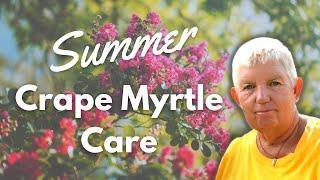 How to Make Your Crape Myrtle Bloom All Summer Long  Summer Crape Myrtle Care