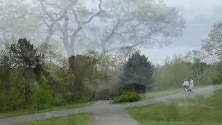 Dartmouth Common Skatepark  Greenway Corridor  Leighton Dillman Park NS Canada