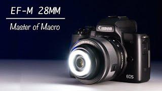 This Lens is Incredible The Canon EF-M 28mm f3.5 IS STM Macro