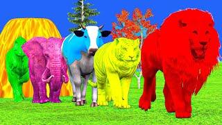 Dinosaur Cow Lion Tiger Elephant  Fountain Crossing Challenge  Animation