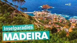 Madeira – Aussteiger-Paradies im Atlantik  ARD Reisen