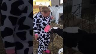 Cow Sucking Girls Cow Costume 
