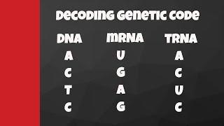 Decode from DNA to mRNA to tRNA to amino acids