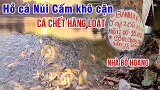 Hồ Cá khô cặn đường lên Núi Cấm nhà bỏ hoang cá chết hàng loạt  Đỗ Hoài Thương