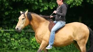 ways2liberty - Natural Horsemanship Imagefilm