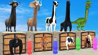 Choose The Right Mystery Drink Bottle With Elephant Mammoth Gorilla Cow Hippo Max Level LONG LEGS