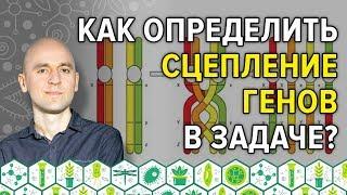 7. Как определить сцепление генов в задаче?