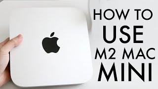 How To Use M2 Mac Mini Complete Beginners Guide