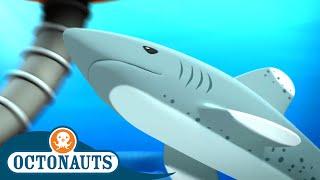 Octonauts - Hungry Shark Chase  Cartoons for Kids  Underwater Sea Education