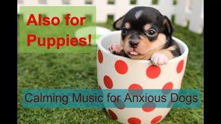 Calming music for anxious dogs - Puppy Sleep Music - 1 hour relaxing dog music