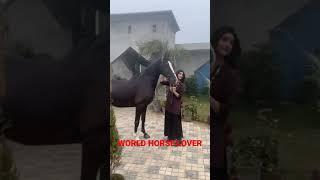 Cute punjabi girl with horse indian girl horse ride and horse love#horse #horseracing #horses #ghoda