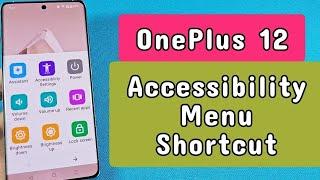 OnePlus 12 or Ace 3 Accessibility Menu Shortcut